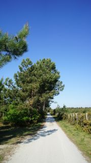 06-Nature-007.jpg