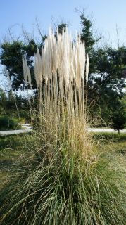 06-Nature-006.jpg