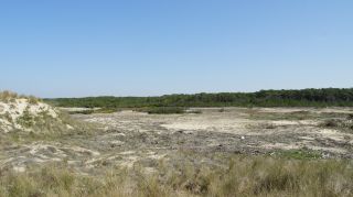 06-Nature-008.jpg
