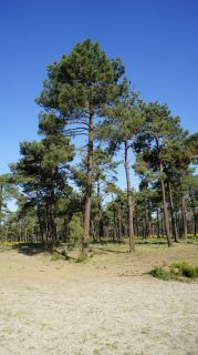 06-Nature-010.jpg