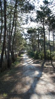 06-Nature-009.jpg