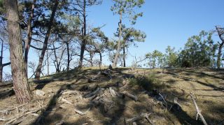 06-Nature-012.jpg