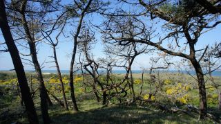 06-Nature-013.jpg