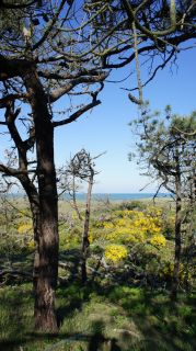 06-Nature-014.jpg