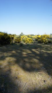 06-Nature-015.jpg