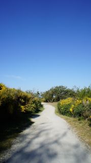06-Nature-016.jpg