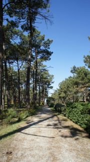 06-Nature-017.jpg