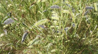 06-Nature-020.jpg