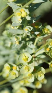 06-Nature-022.jpg