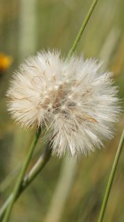 06-Nature-021.jpg