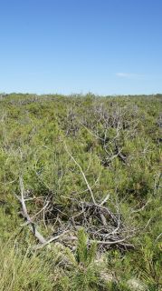 06-Nature-024.jpg