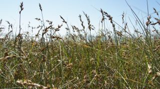 06-Nature-025.jpg