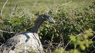 06-Nature-027.jpg