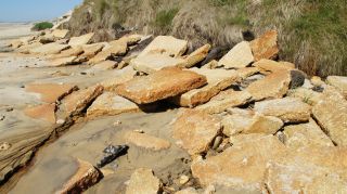 06-Nature-030.jpg