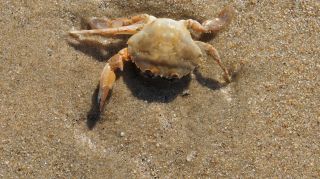 06-Nature-034.jpg