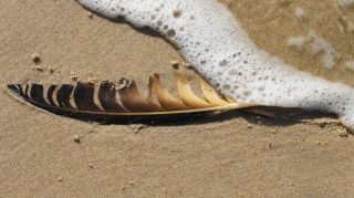 06-Nature-036.jpg