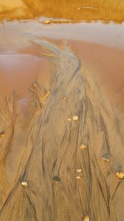 06-Nature-040.jpg