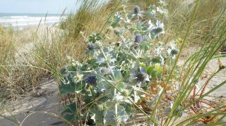 06-Nature-042.jpg