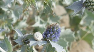 06-Nature-043.jpg