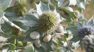 06-Nature-044.jpg