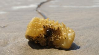 06-Nature-047.jpg
