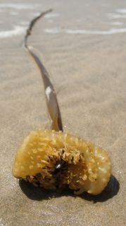 06-Nature-046.jpg