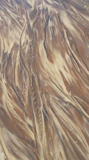 06-Nature-048.jpg
