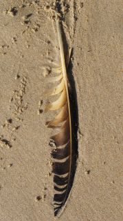 06-Nature-049.jpg