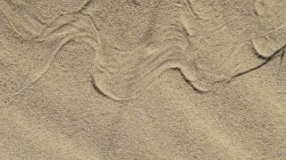 06-Nature-052.jpg