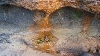 06-Nature-054.jpg