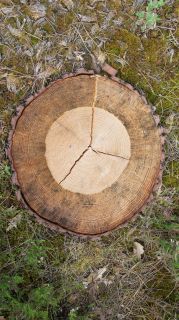 06-Nature-056.jpg