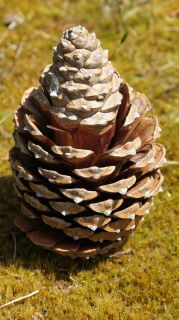 06-Nature-062.jpg