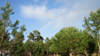 06-Nature-063.jpg