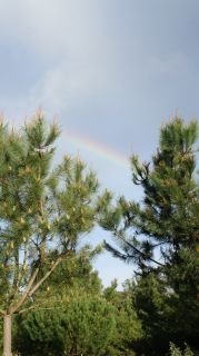 06-Nature-064.jpg