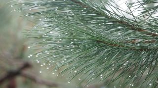 06-Nature-067.jpg