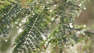 06-Nature-068.jpg