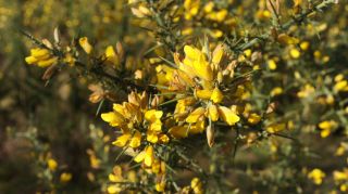 06-Nature-069.jpg