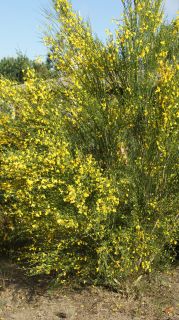 06-Nature-070.jpg
