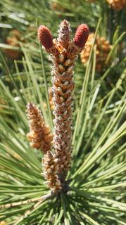 06-Nature-075.jpg