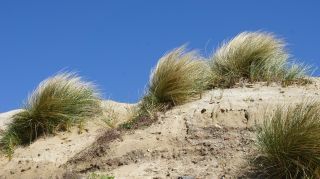 06-Nature-074.jpg