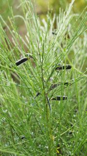 06-Nature-076.jpg