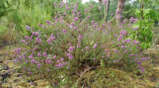 06-Nature-077.jpg