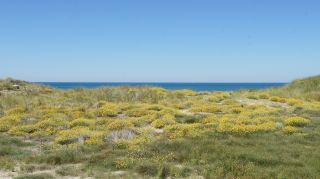 06-Nature-080.jpg