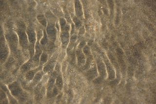 06-Nature-081.jpg