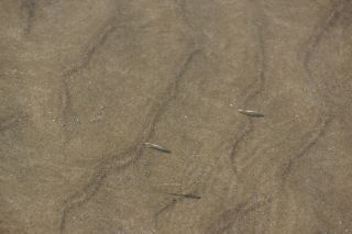 06-Nature-082.jpg