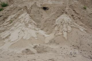 06-Nature-084.jpg