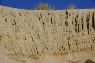 06-Nature-091.jpg