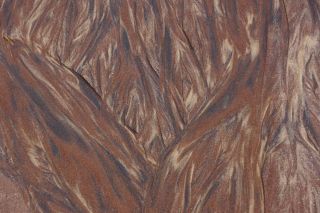 06-Nature-097.jpg