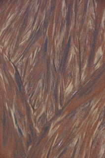 06-Nature-096.jpg