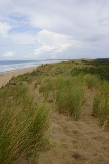 06-Nature-099.jpg
